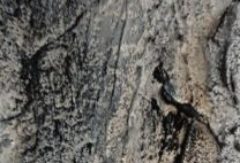 AIZA peintre plasticienne